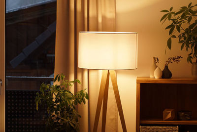 Lamp near window