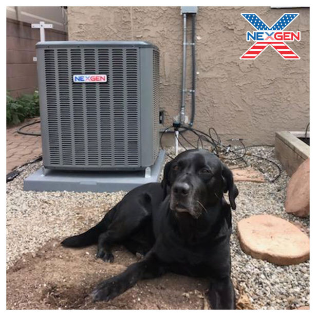 A dog sitting in front of a NexGen AC unit.