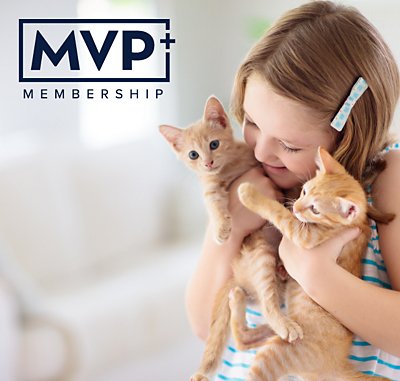 MVP+ Renewal Campaign