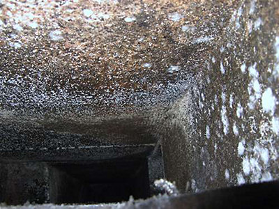 Mold inside ac ducts