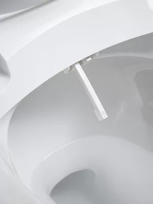 Bidet toilet seat 