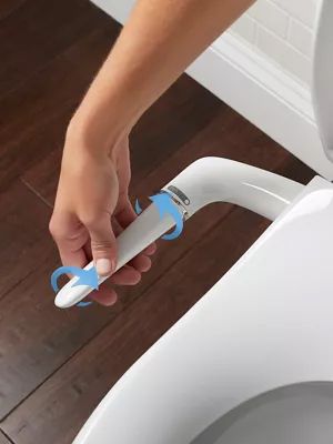 Bidet toilet seat handle