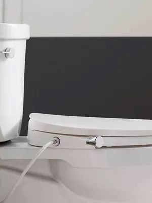 Toilet seat bidet