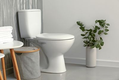 Toilet bowl with plant and towels