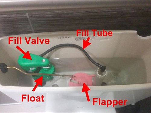 Components of the inside of a toilet 