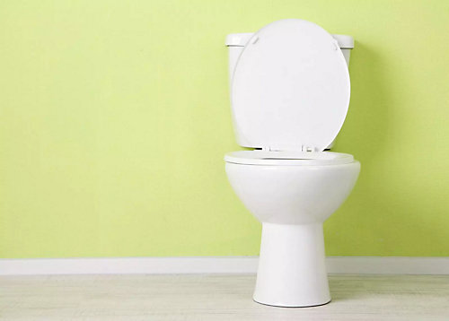 White toilet bowl against a green wall - Mr. Plumber by Metzler & Hallam
