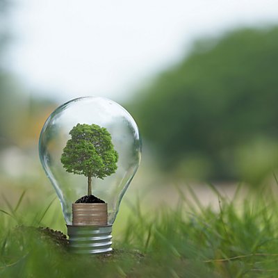 Lightbulb with tree 