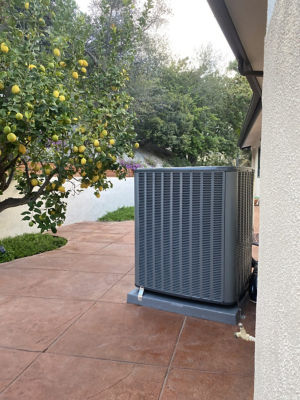 An AC unit next to a fruit tree.