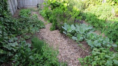 Bed preparation for crops.