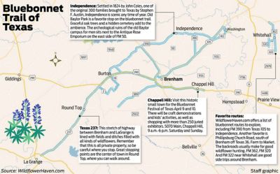 Bluebonnet Trail of Texas