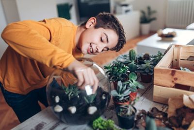 Boy putting plants in a terrarium