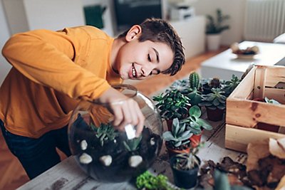 Boy putting plants in a terrarium