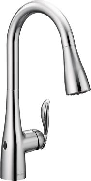 Moen Faucet