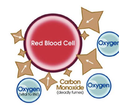 Carbon Monoxide affects on blood oxygen diagram