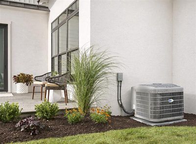 Carrier Condenser in the backyard of a south Florida home