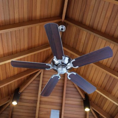 Ceiling Fan