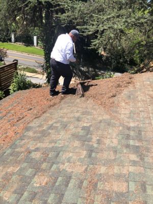 Cleaning the roof