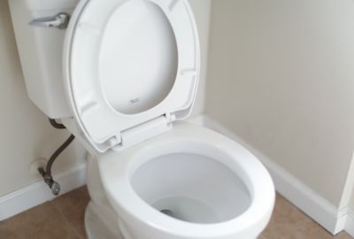 clogged toilet