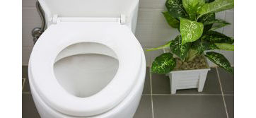How to Unclog a Toilet—Fast!