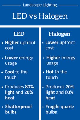 LED vs Halogen Landscape Lighting: Which is Best for My Florida Home?