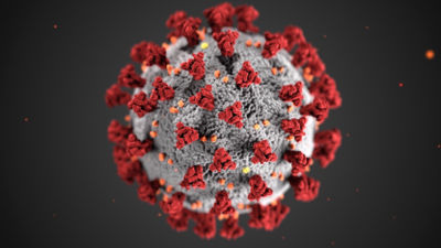 corona virus cell