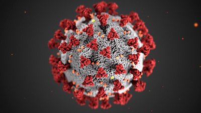 corona virus cell
