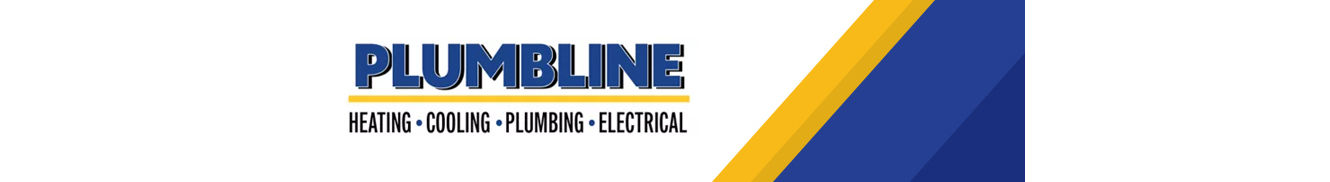 Limited Time Offer: Free Video Inspection of Your Mainline