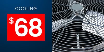 AC Tune-Up + Duct Safety Inspection
