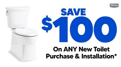 Save $100 On ANY New Toilet Purchase & Installation