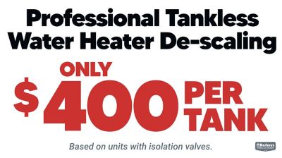 Professional Tankless Water Heater De-Scaling