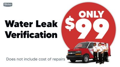 Water Leak Verification ONLY $99