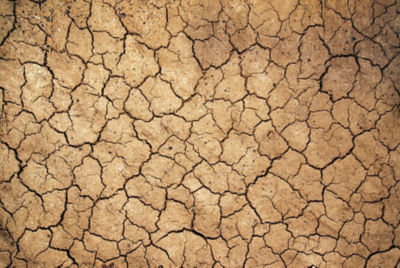 Dry, cracked dirt