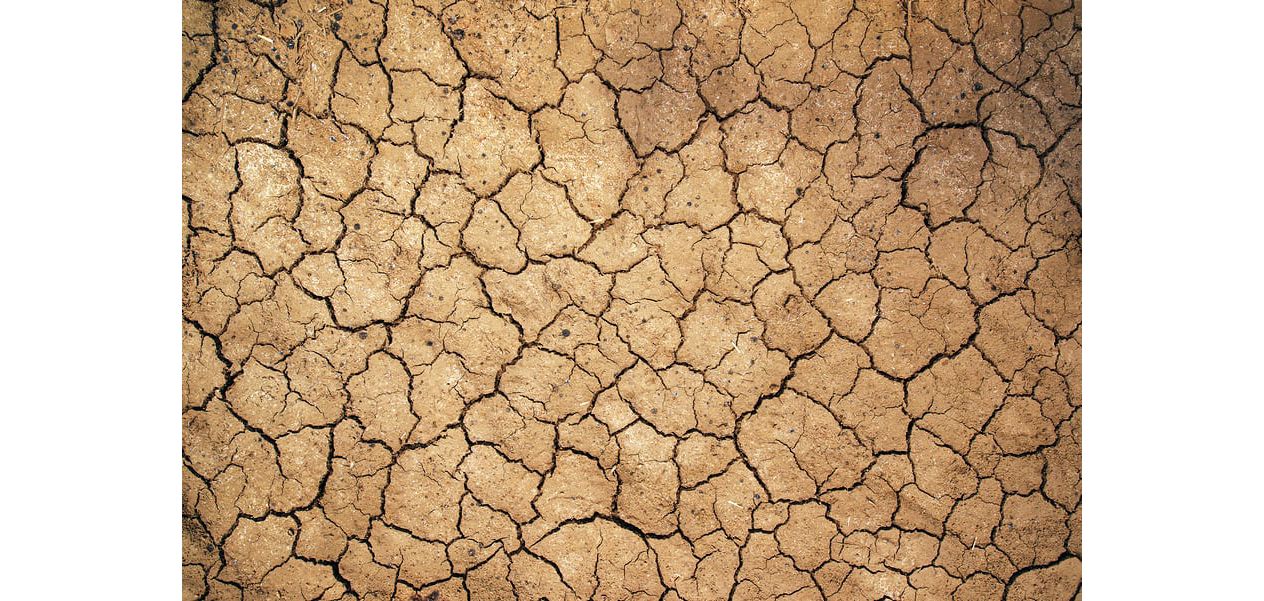 Dry, cracked dirt