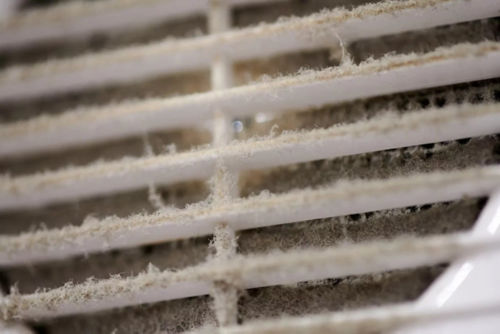 dusty air filter