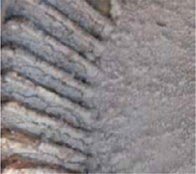 Dirty HVAC Blower