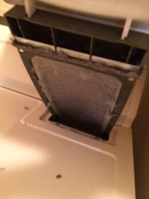 Dryer lint trap