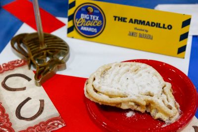 The Armadillo fried ice cream