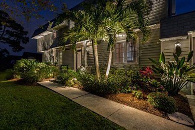 Foliage Lighting