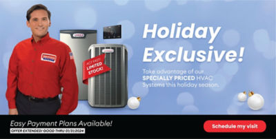 Holiday Special - Easy Payment Plans Available!