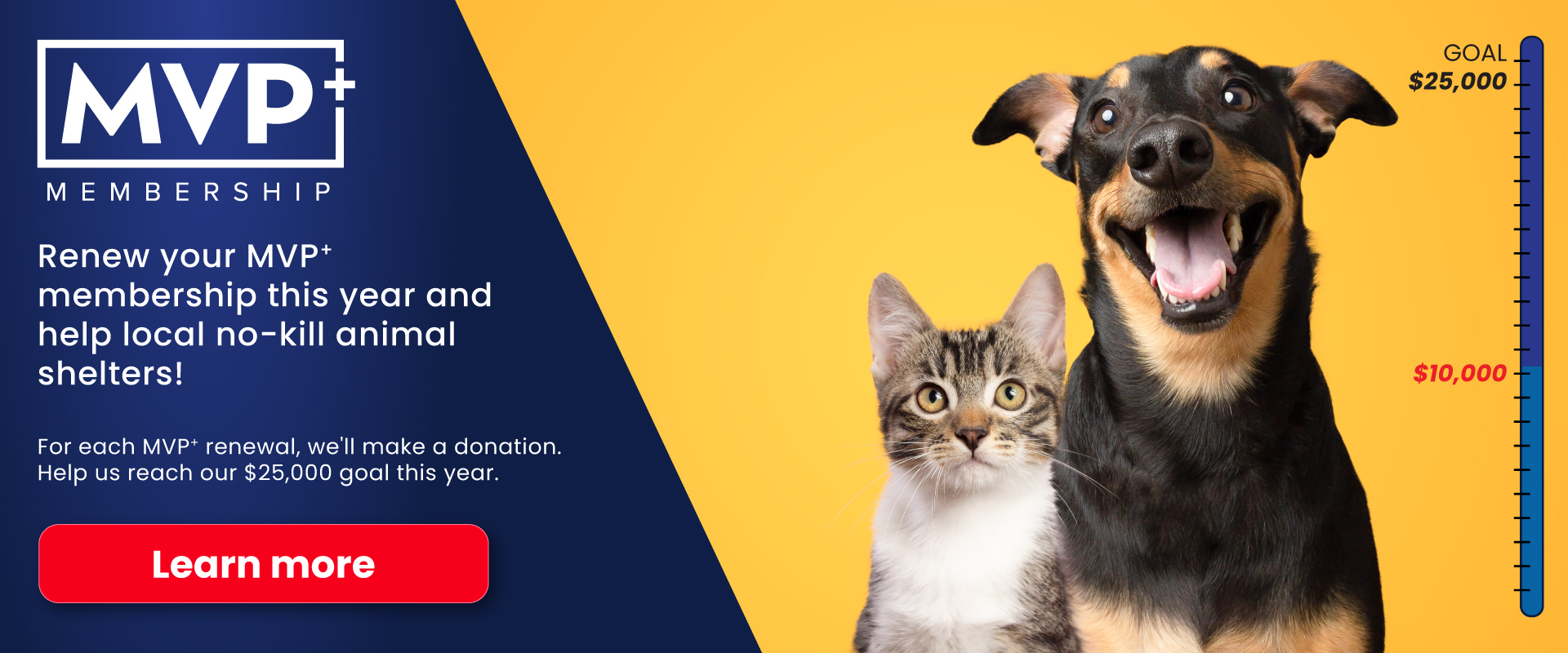 MVP+ Renewal Campaign