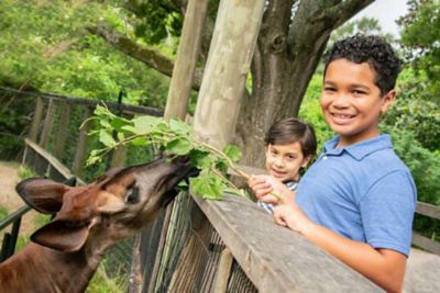 Houston Zoo