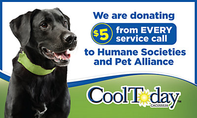 CoolToday Humane Society Partnership