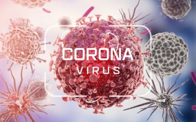 Corona Virus