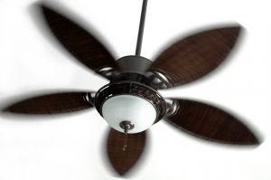 ceiling fans