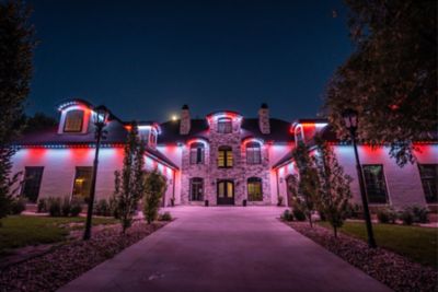 jellyfish-cw25wi006wg - 2