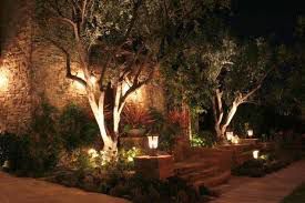 Landscape Lighting maintenance