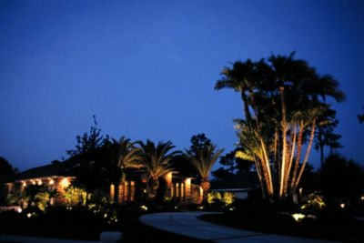 Landscape lighting at a Florida home