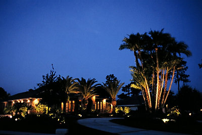 Landscape lighting at a Florida home