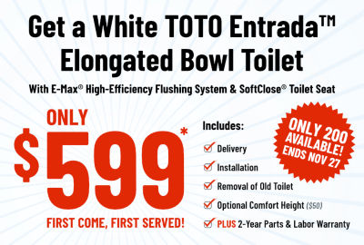 Toto Toilet Special