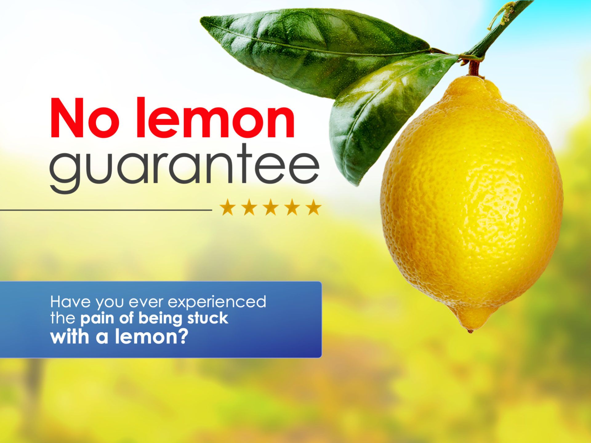 No Lemon Guarantee